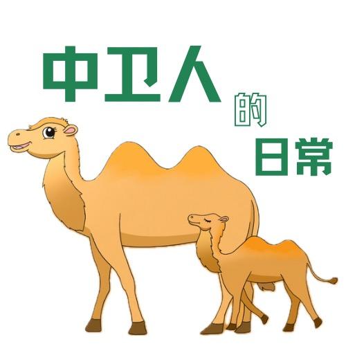 中卫人的日常