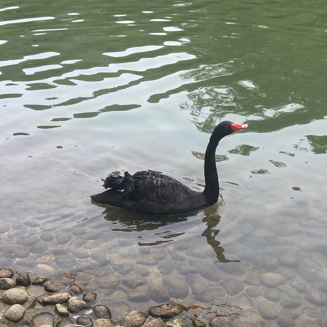 ঞ🍒时光꧔ꦿ᭄安好࿐ᩚ