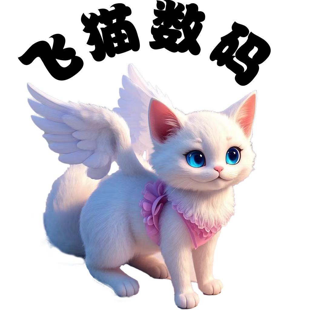 飞猫数码严选