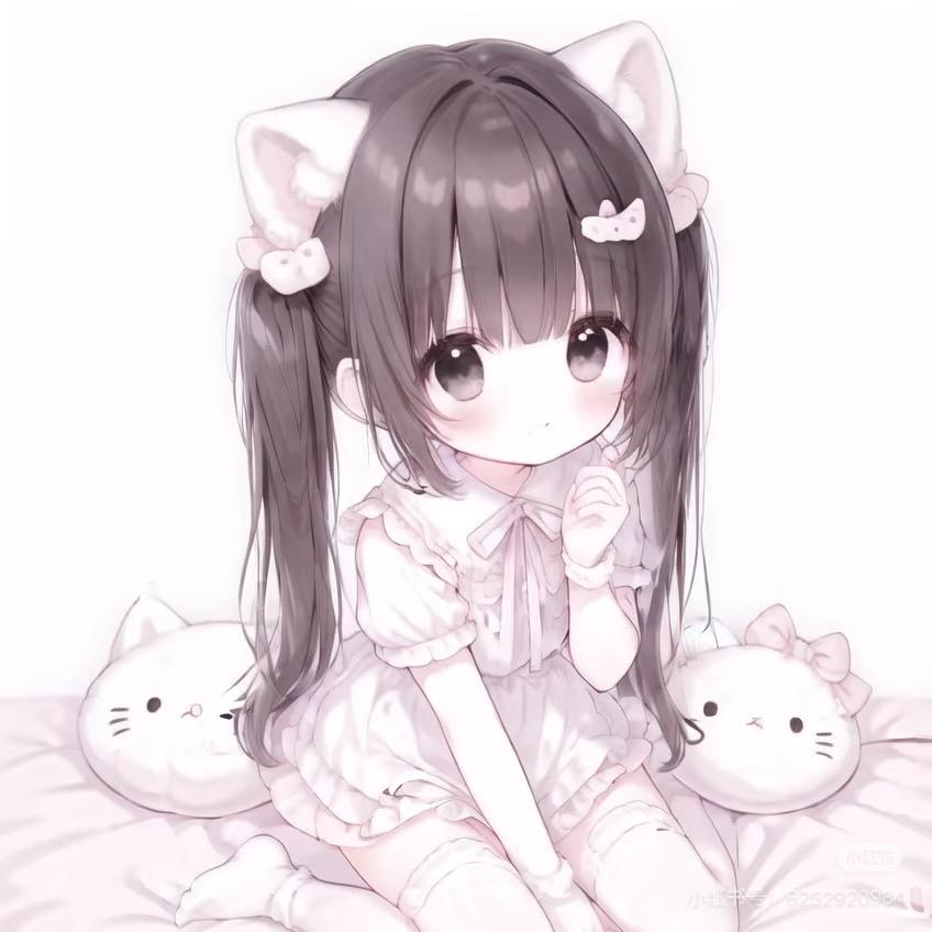 C宅喵