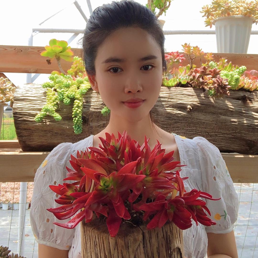花花姐姐