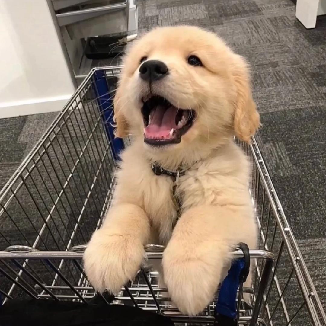 八块腹肌带你飞