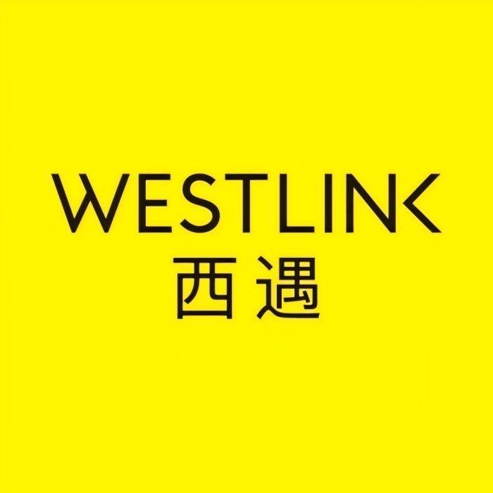 西遇Westlink鞋类旗舰店