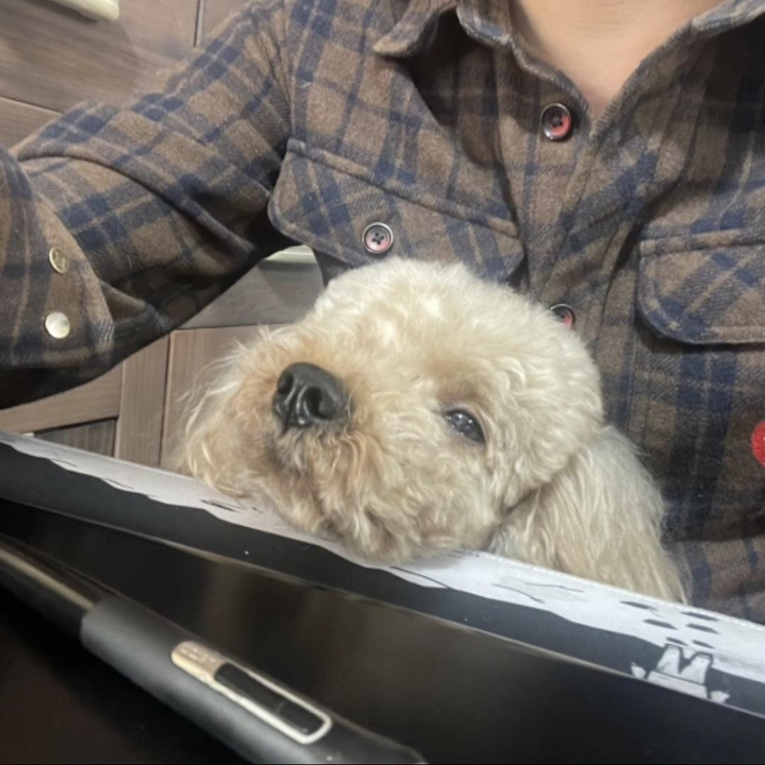 韩晖的绘画灵感小屋