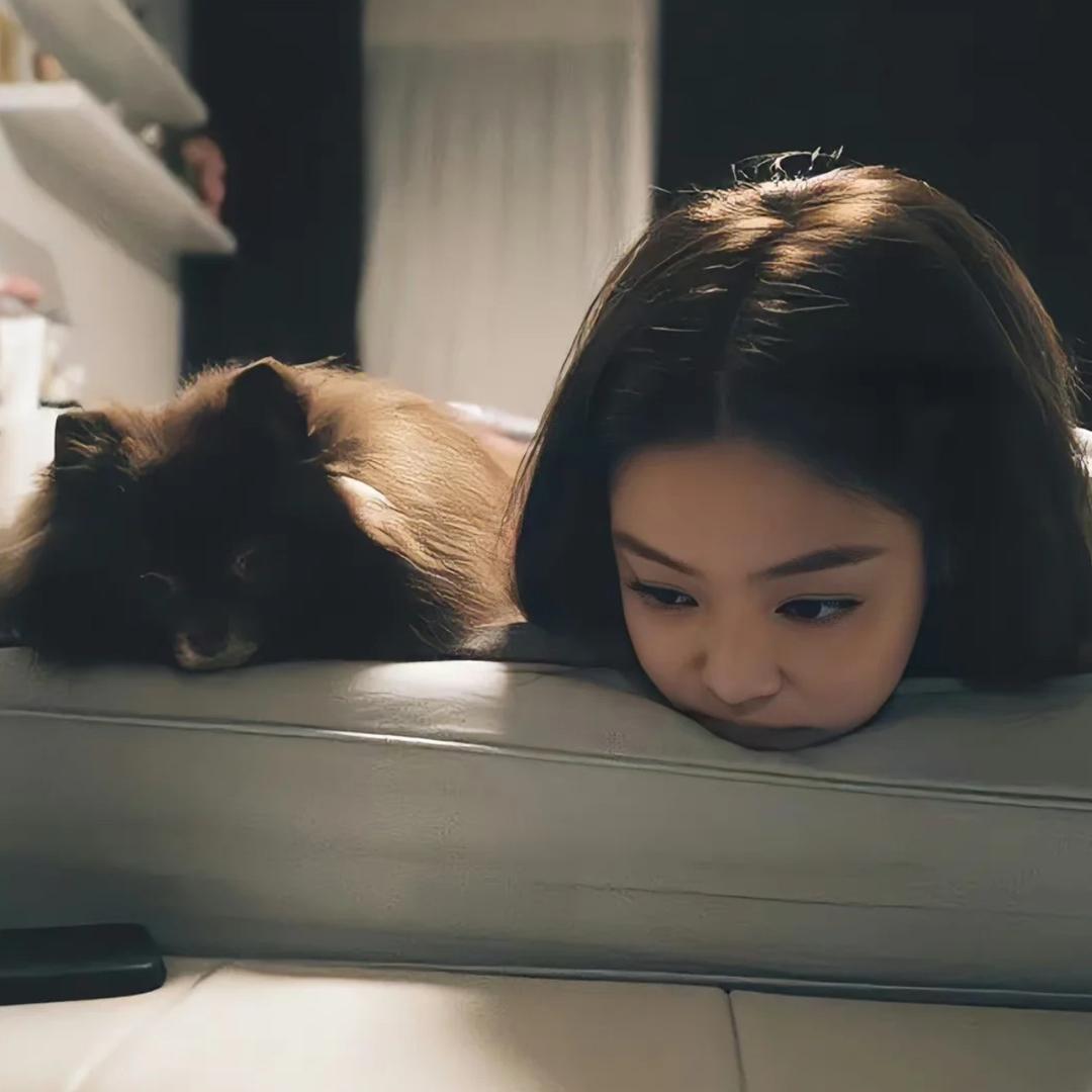 小猫爱吃榴莲