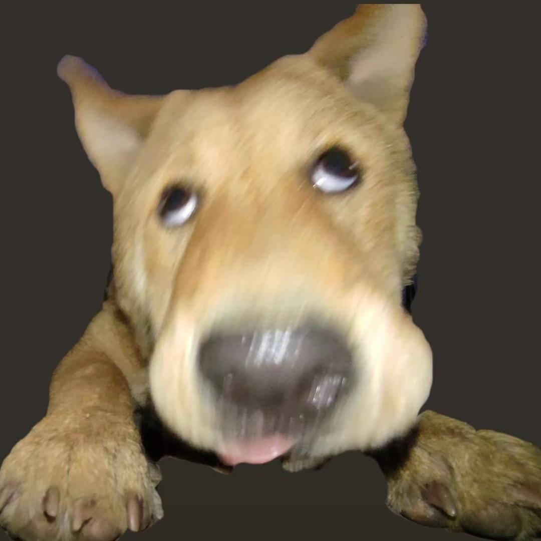 一条毛虫