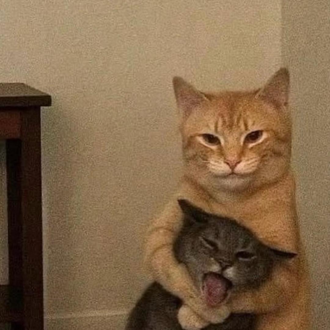 ㅤㅤㅤㅤㅤㅤㅤㅤㅤㅤㅤㅤㅤ‍‍‍‍