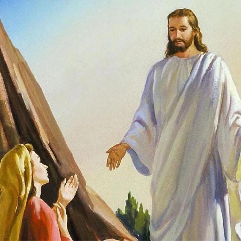 骑着母猪看日落🌅