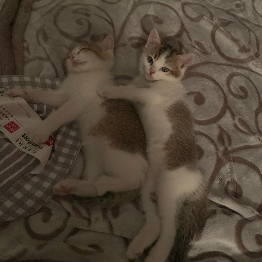 满蓝服饰小陈哥