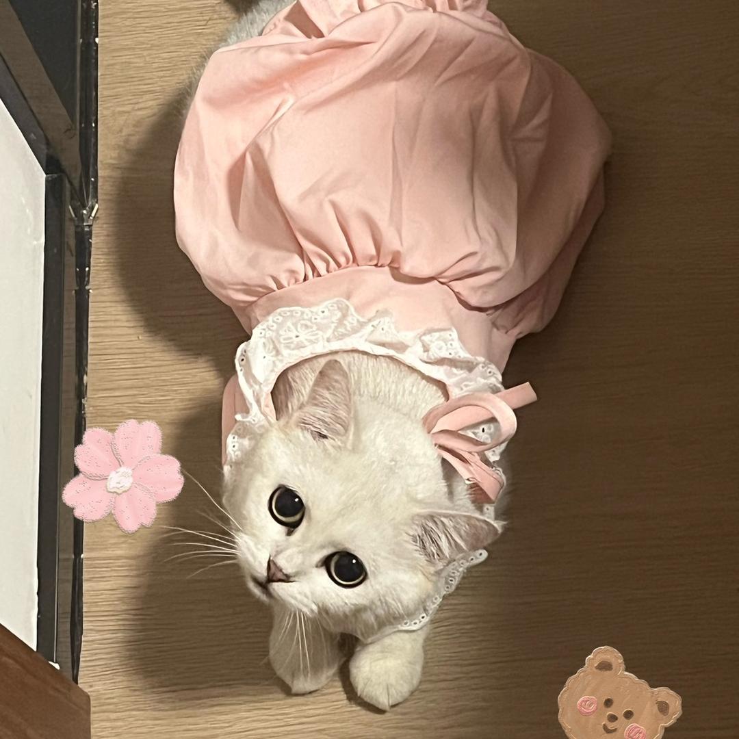 草莓有点甜🐽