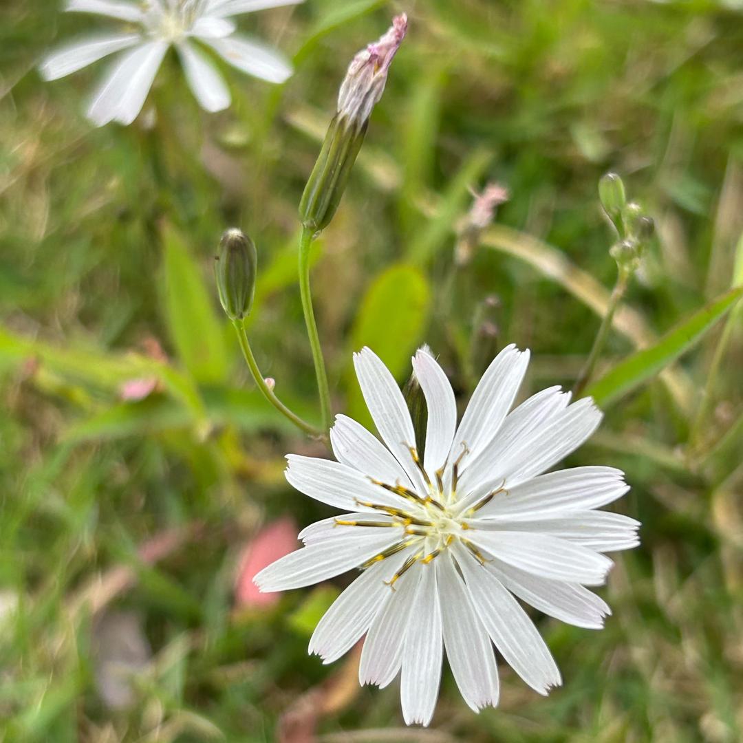 爆改中【减肥呢】