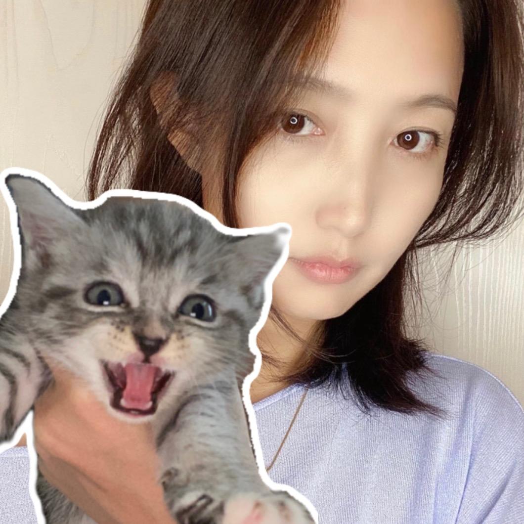 禅心爱上猫😸