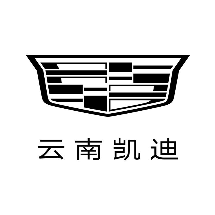云南凯迪拉克 | IQ纯电专区