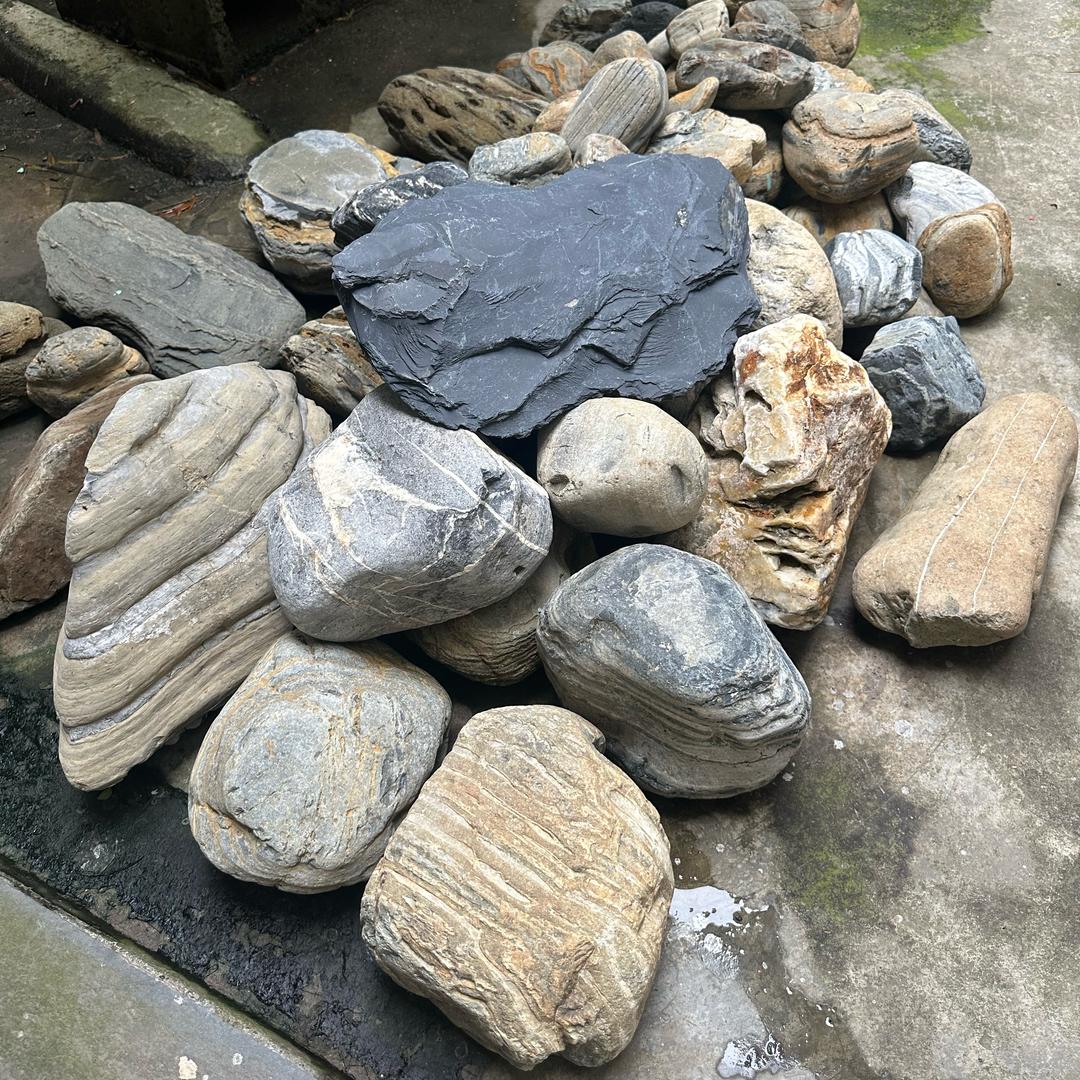 黑石水族