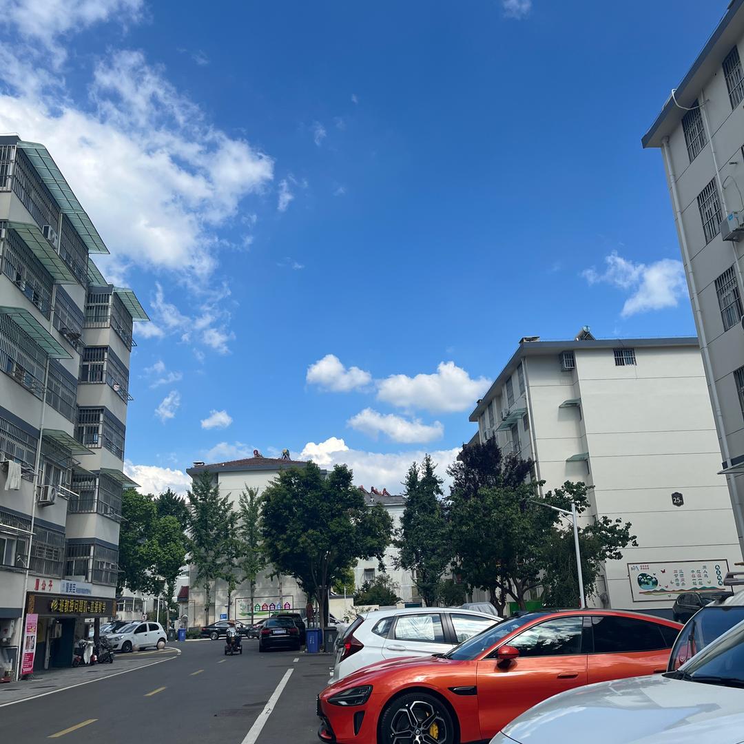 简单的拥鲍