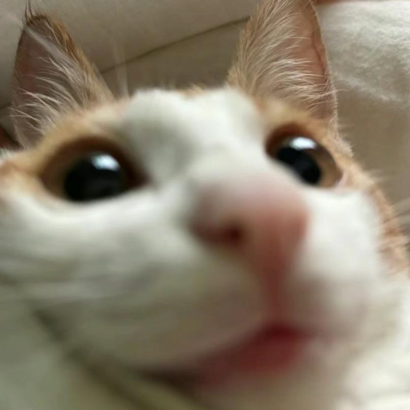别管