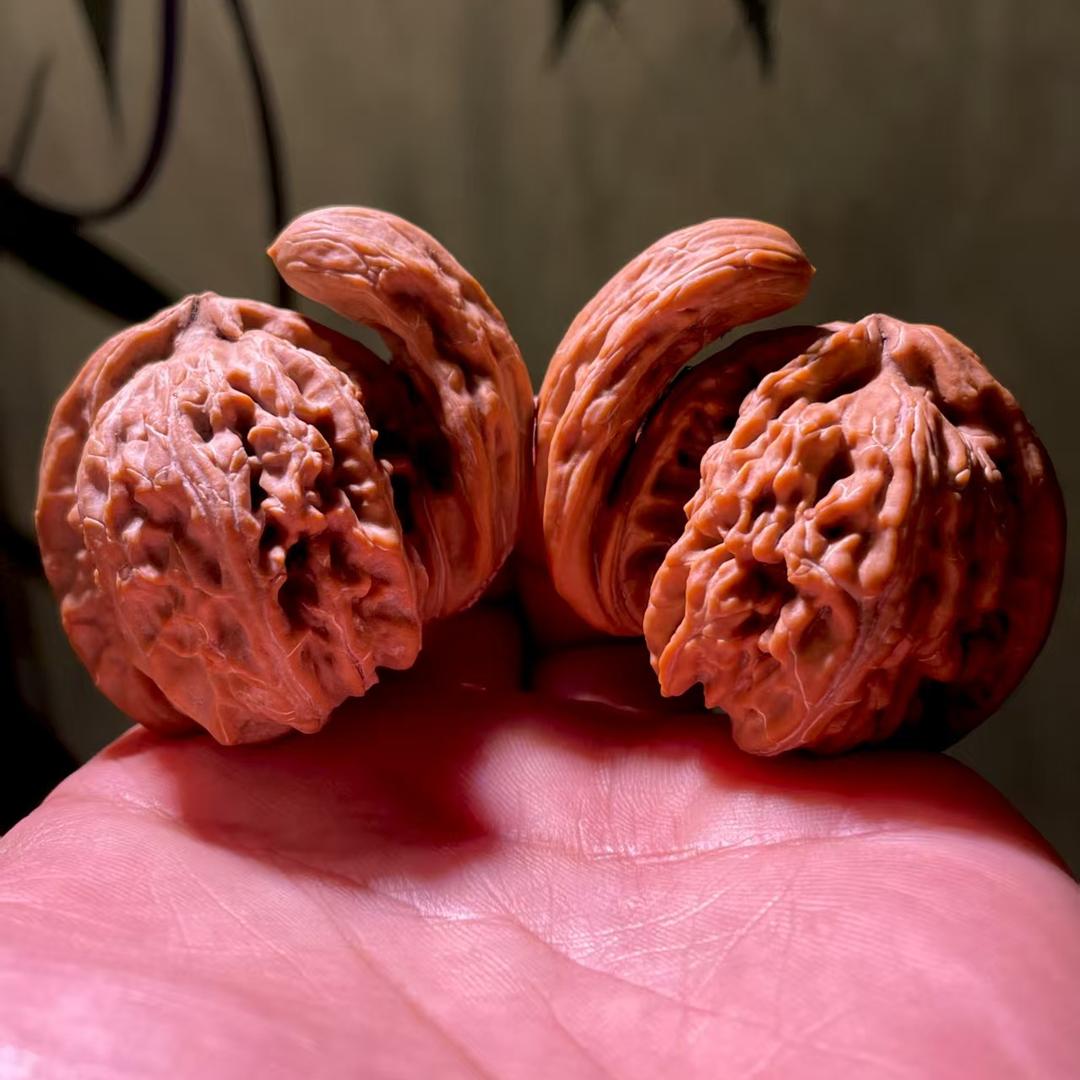 静哥核桃