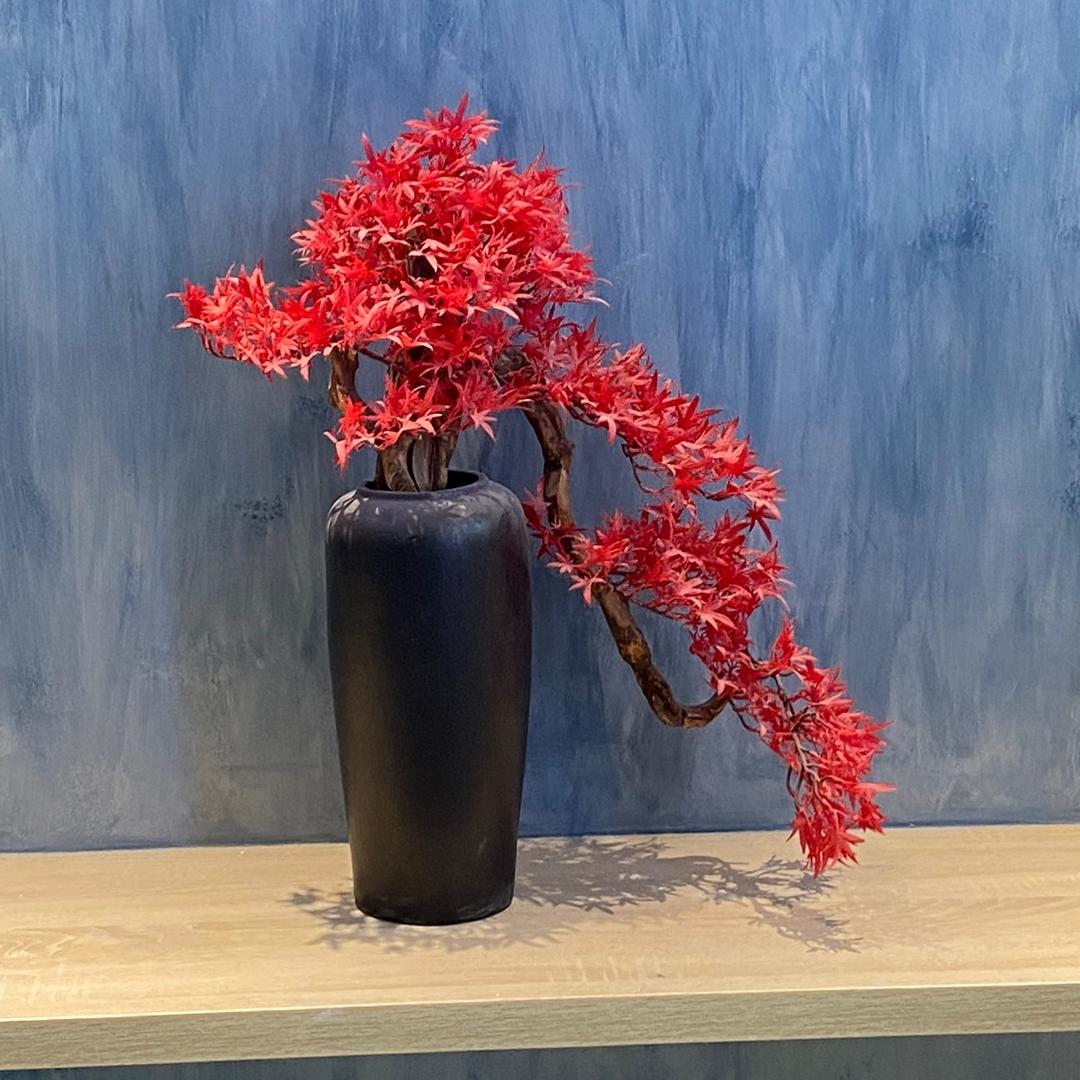 月月家