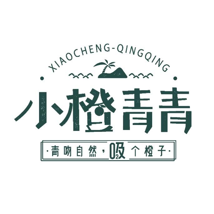 【小橙青青】琼中绿橙