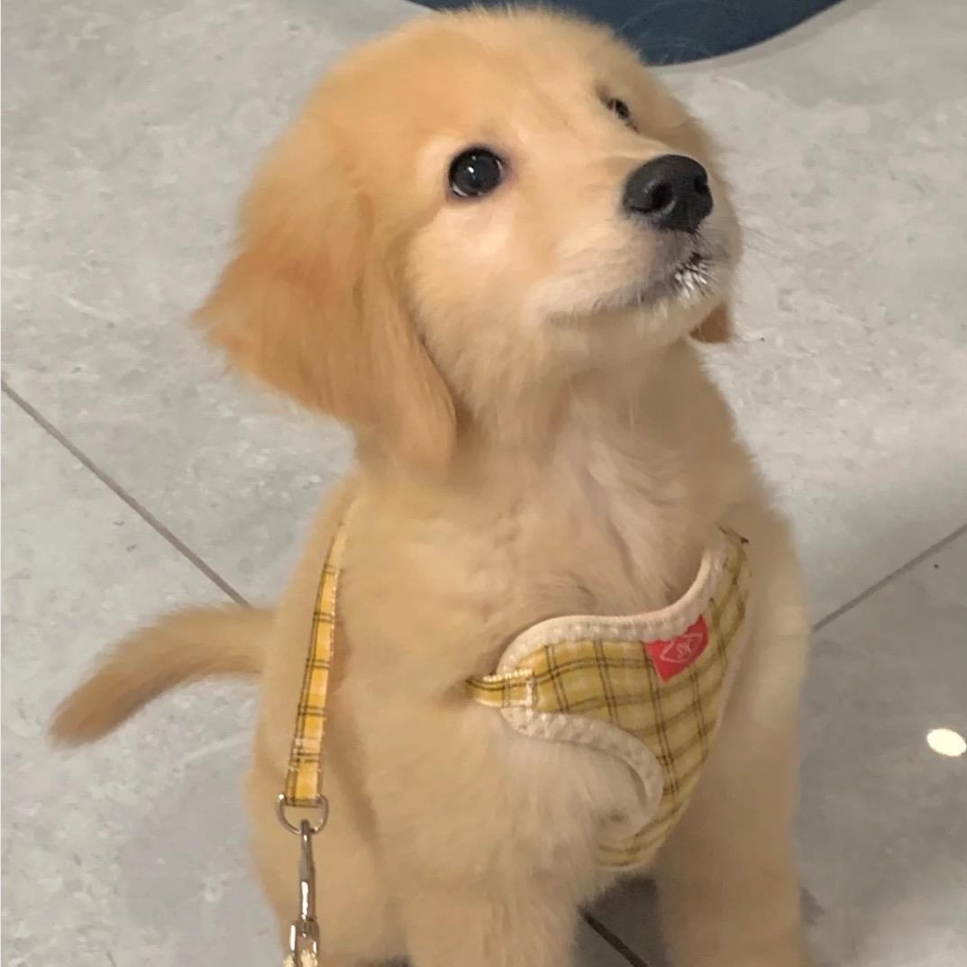 蛋蛋chen_