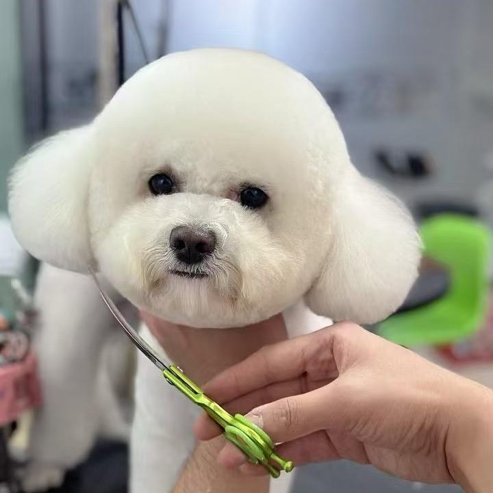 如意🍀嘟嘟