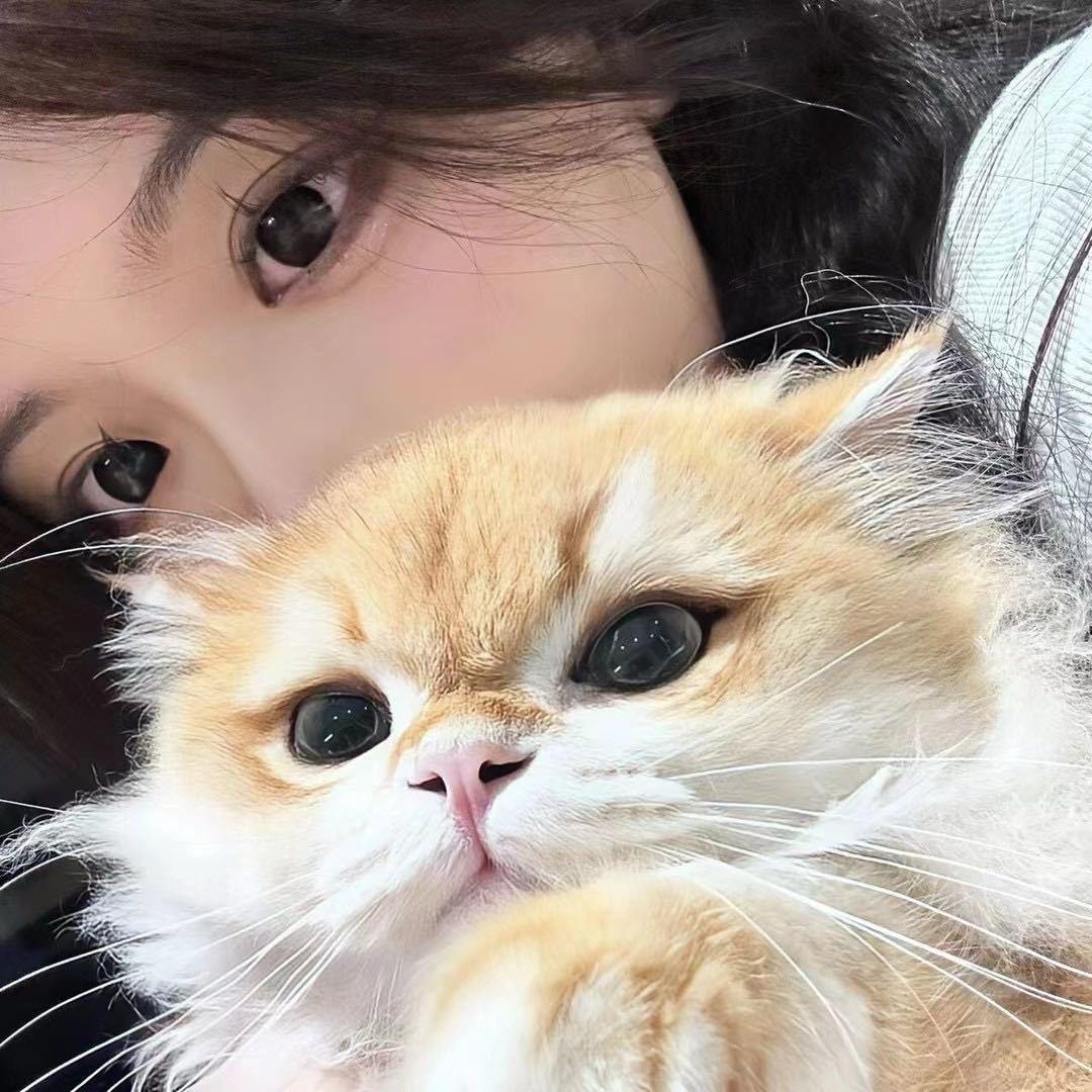 小吴好难过ღ³.