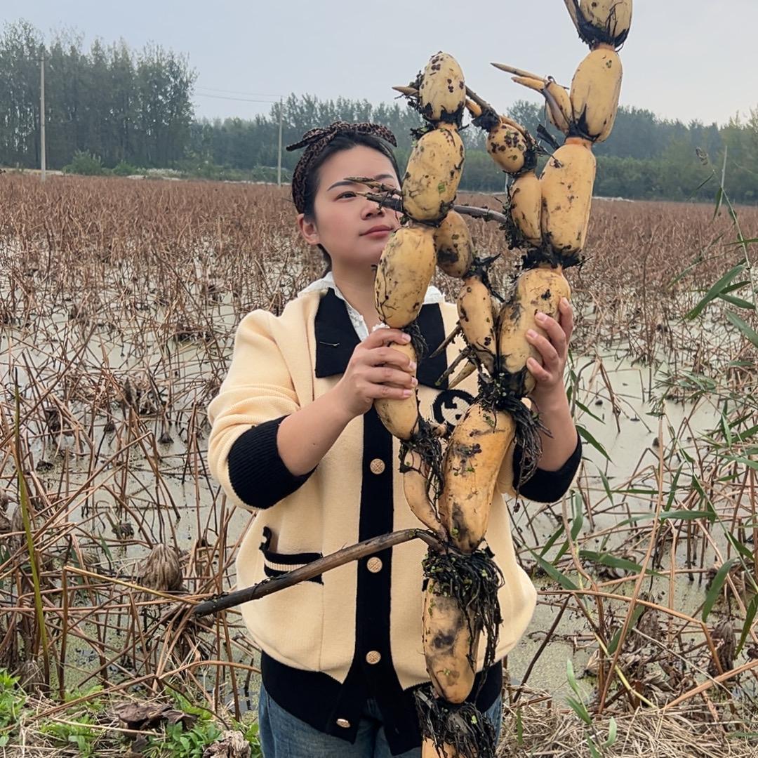 二表妹水生植物店