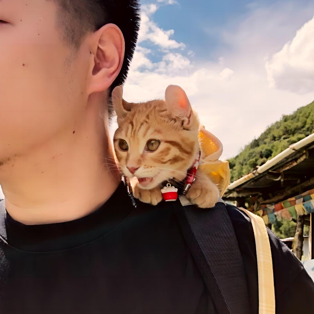 WOW！大不溜