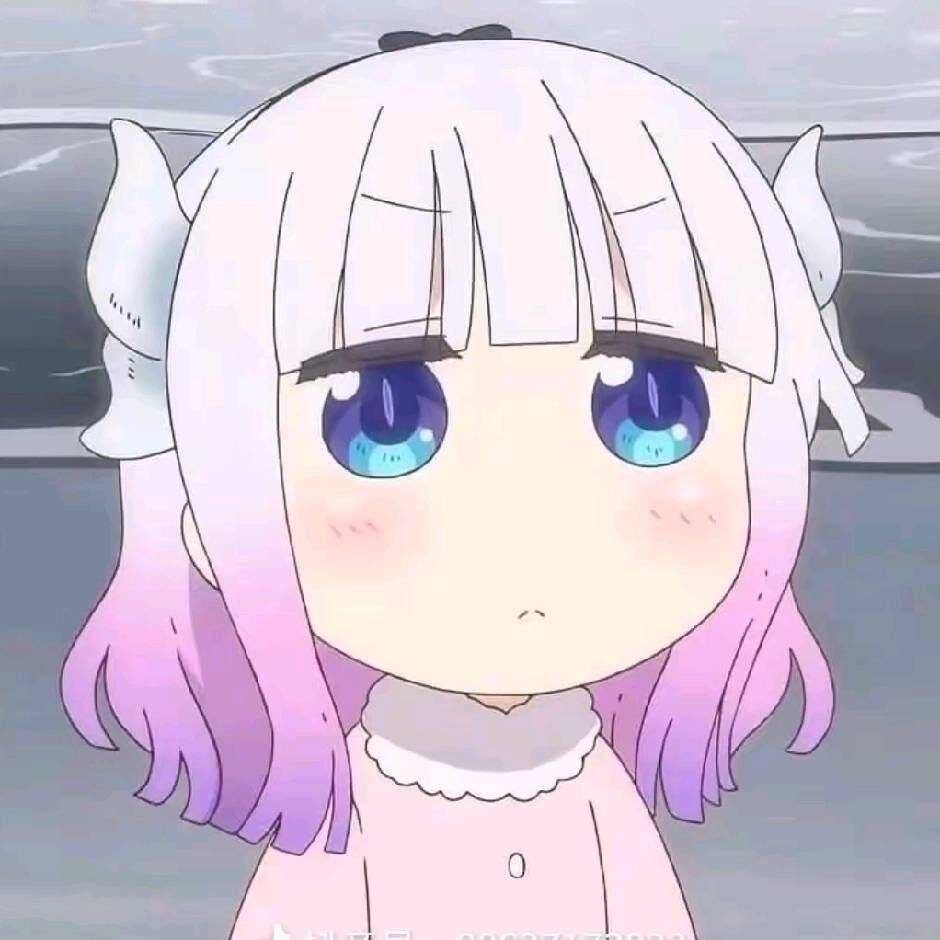 啊侒侒侒侒侒