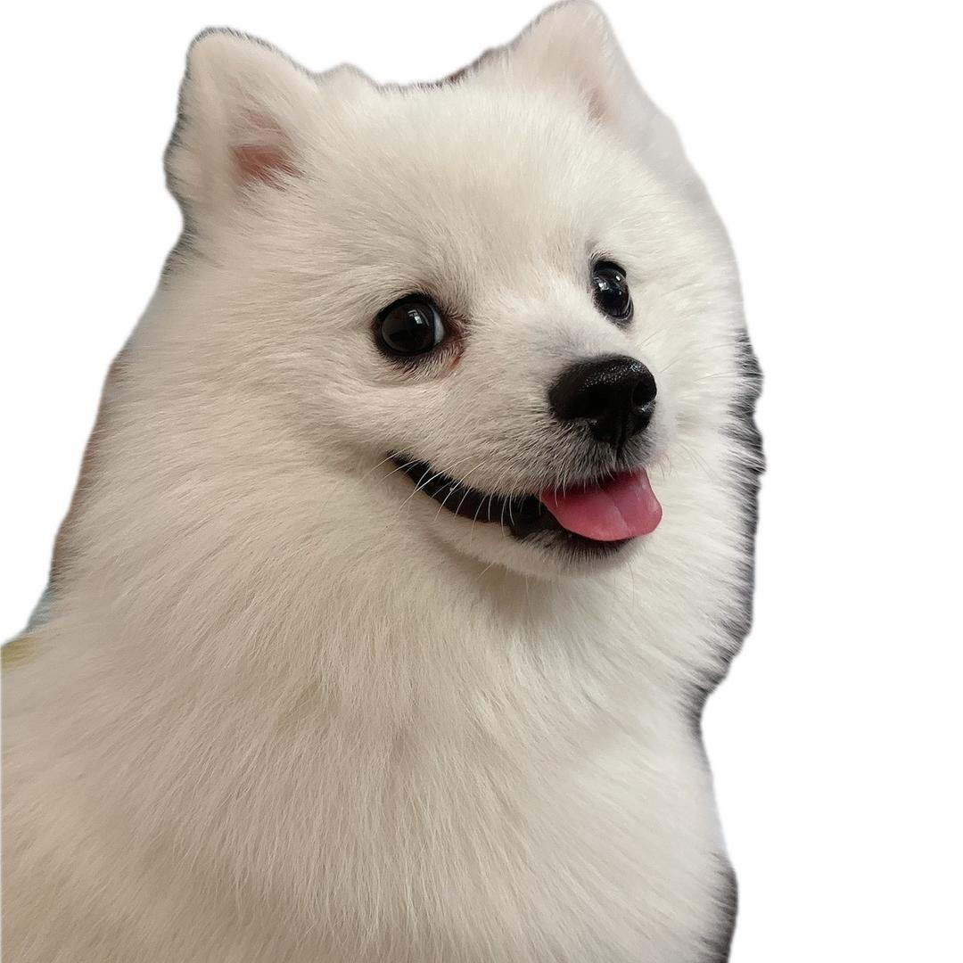 @夏沫初秋