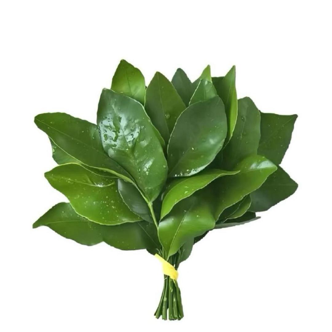 特里斯谭
