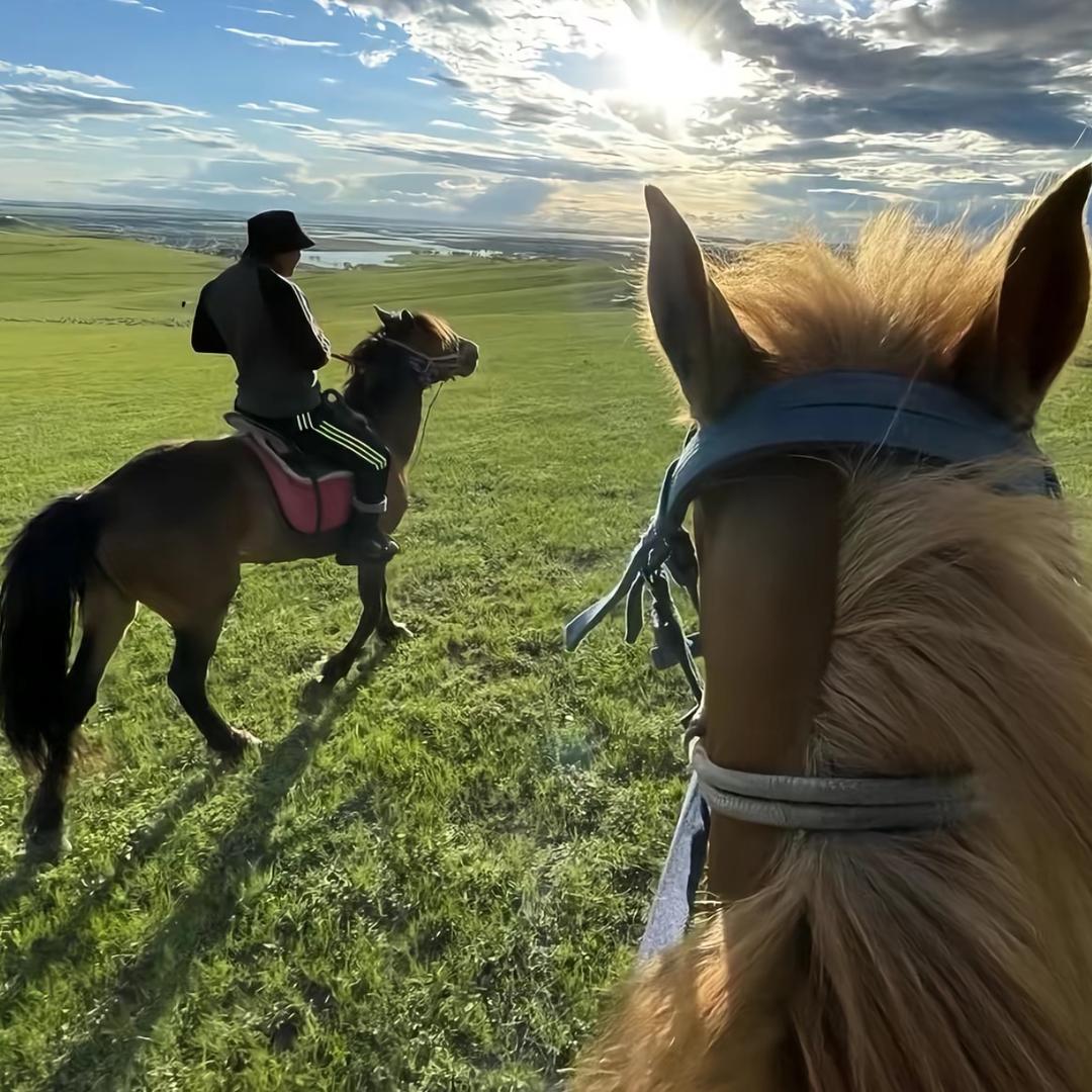 ༗海ཻ࿐皮牛耶