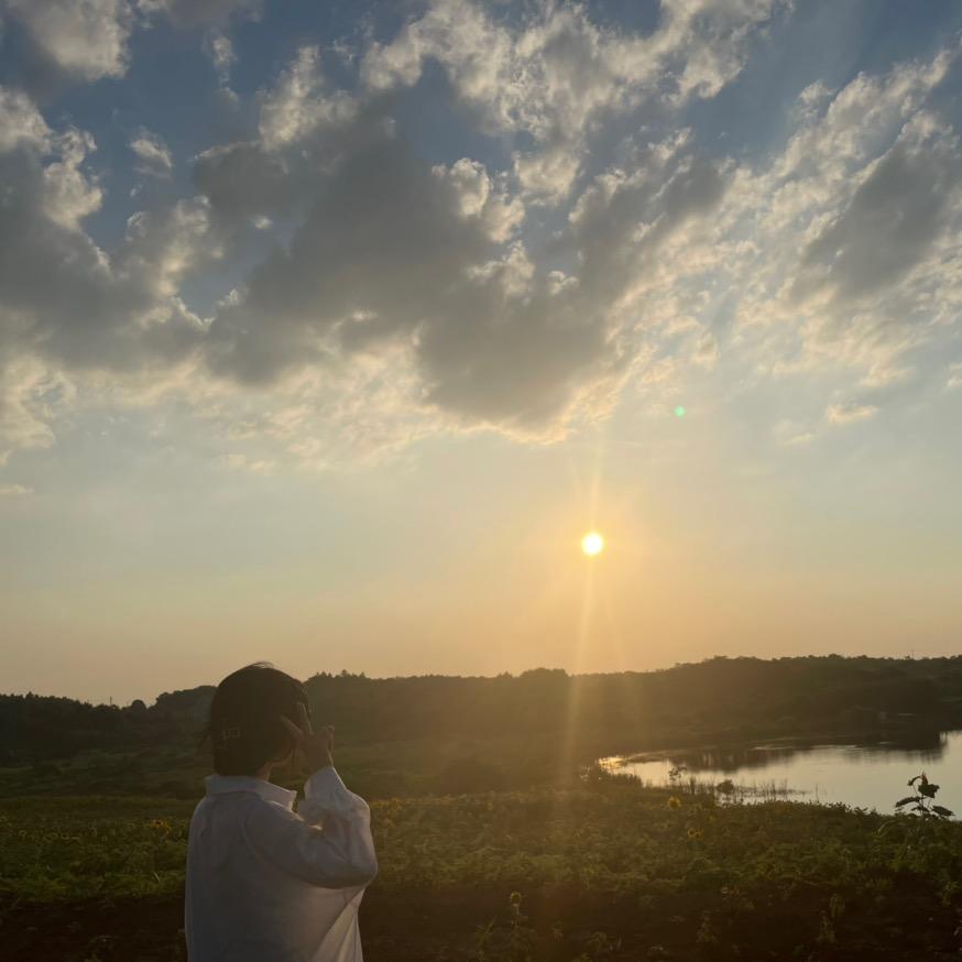 皇家施华洛露子