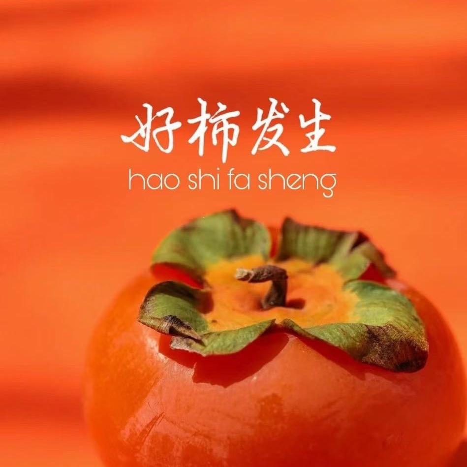 尔君精选