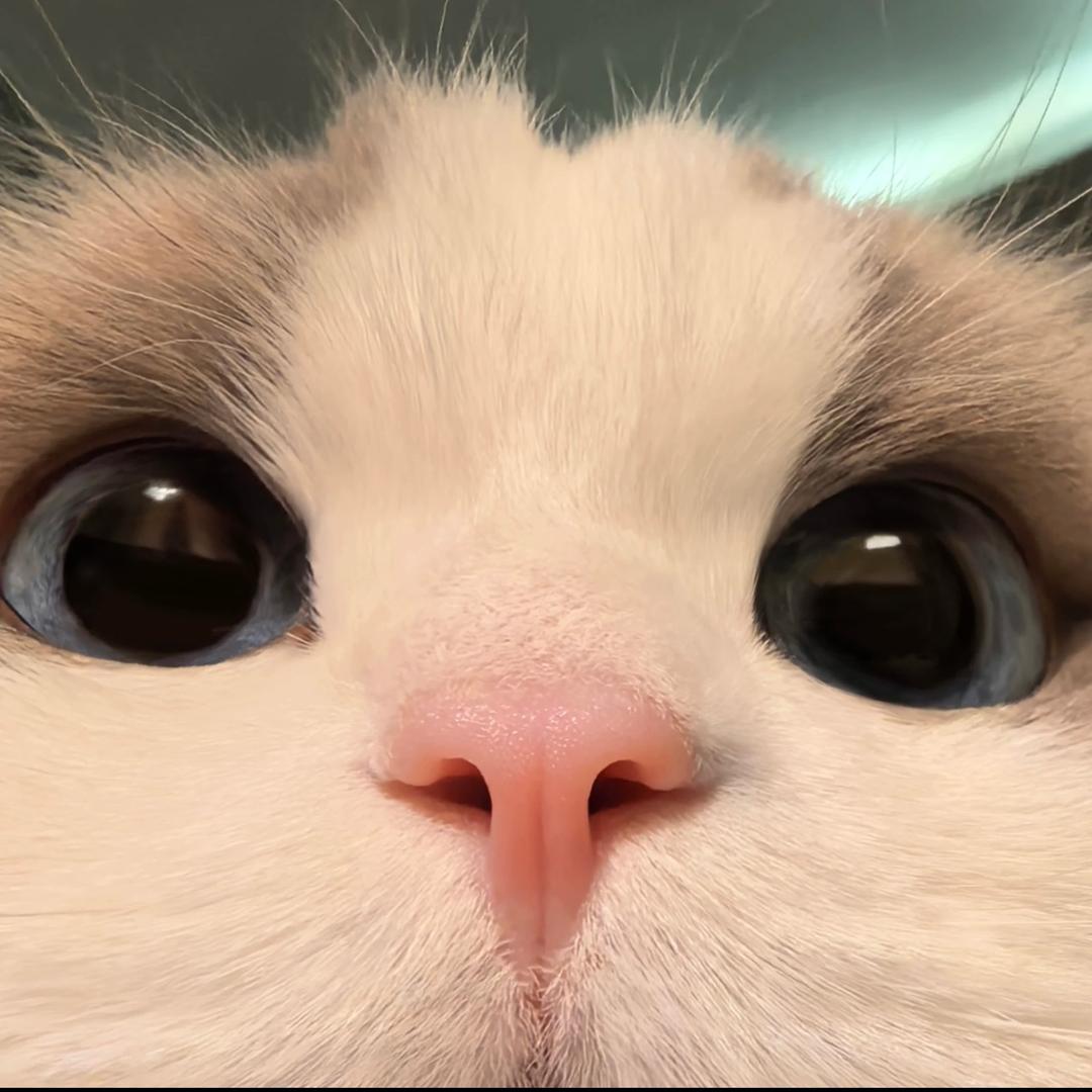 Hcuyun_