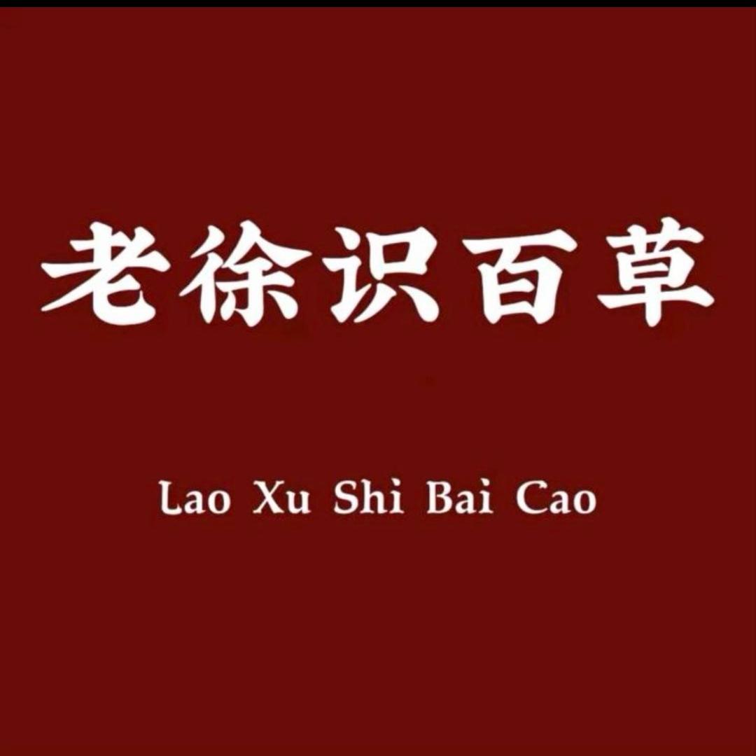 老徐滋补批发号