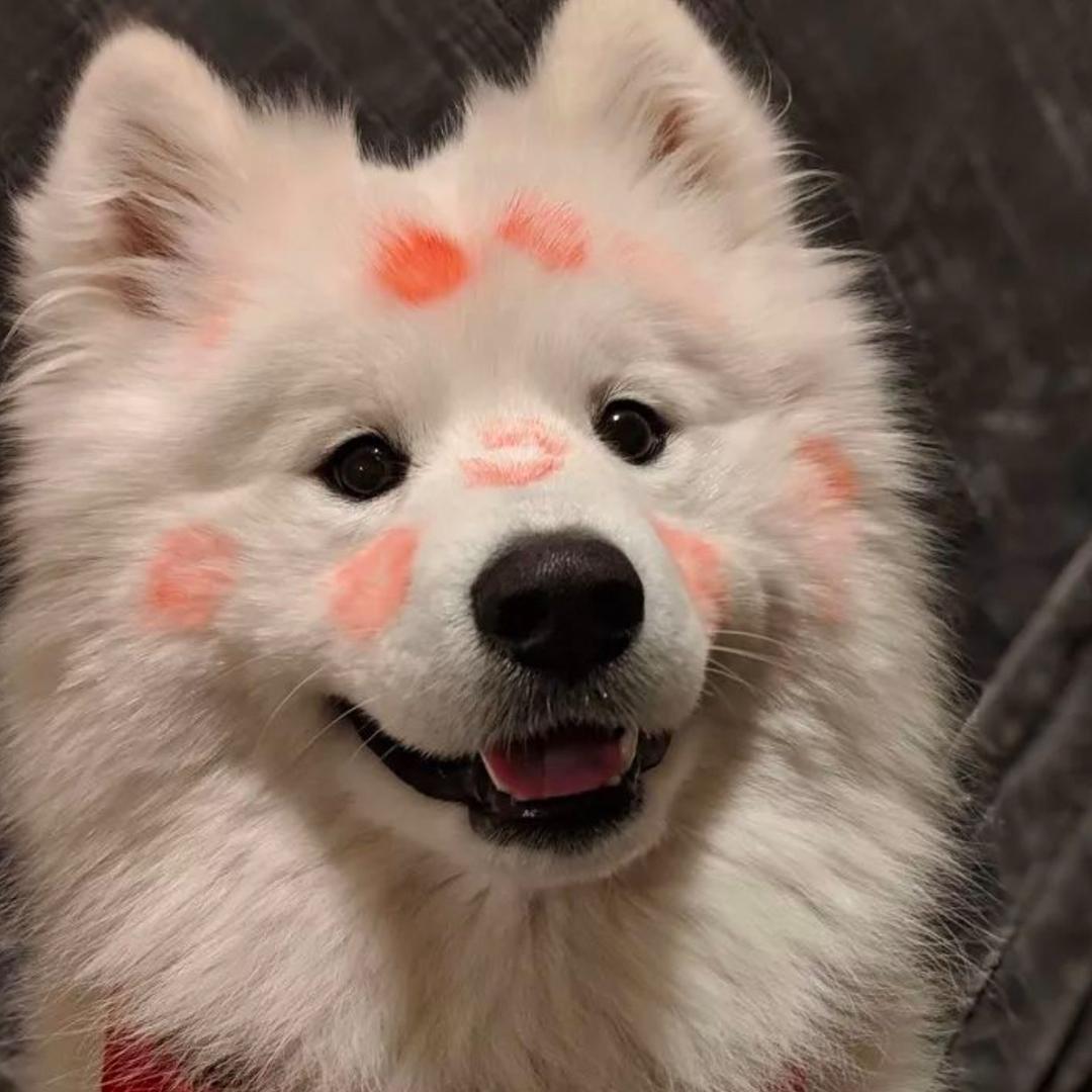 李二狗