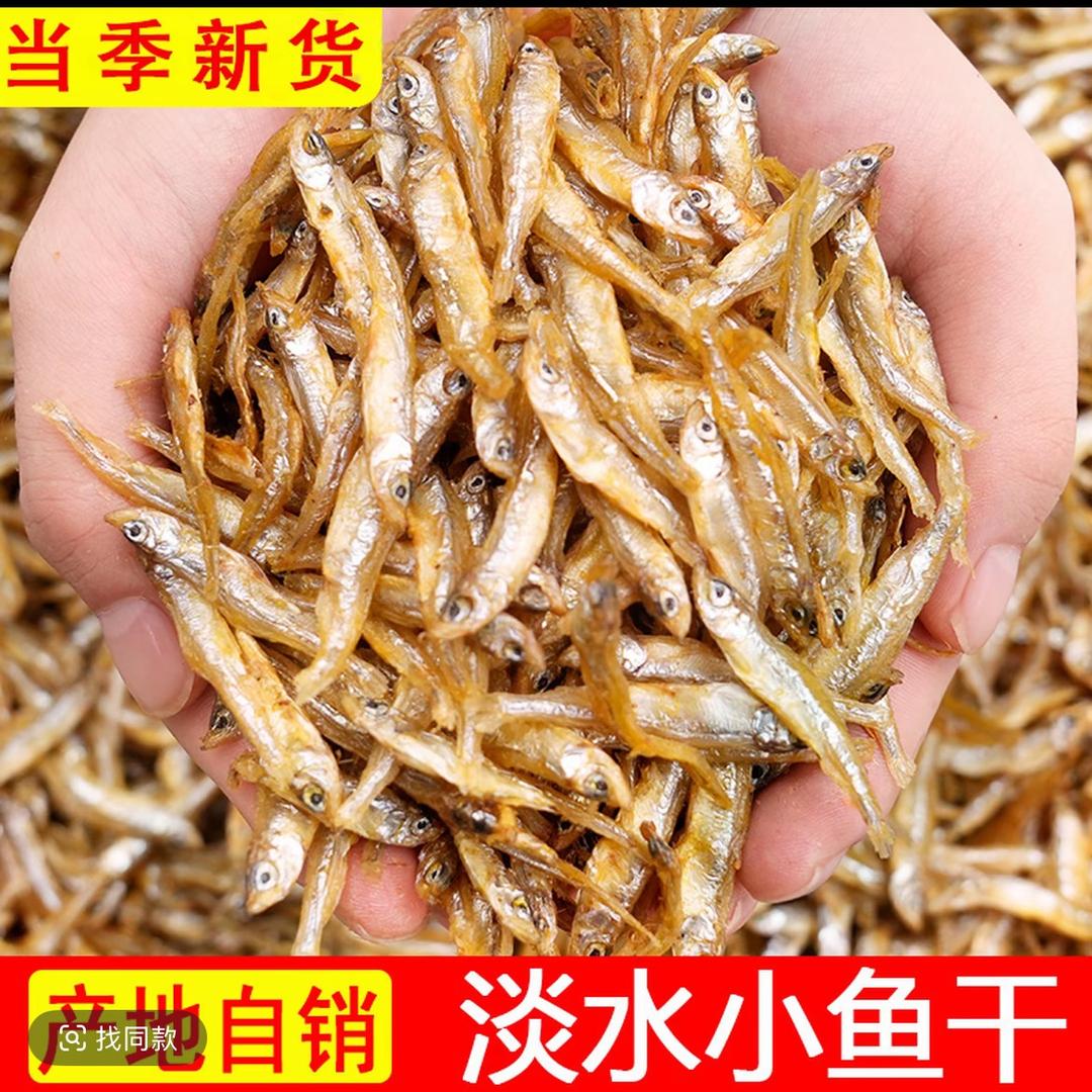 知鱼之乐