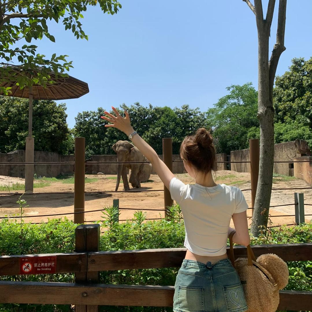 别动我的麦当劳