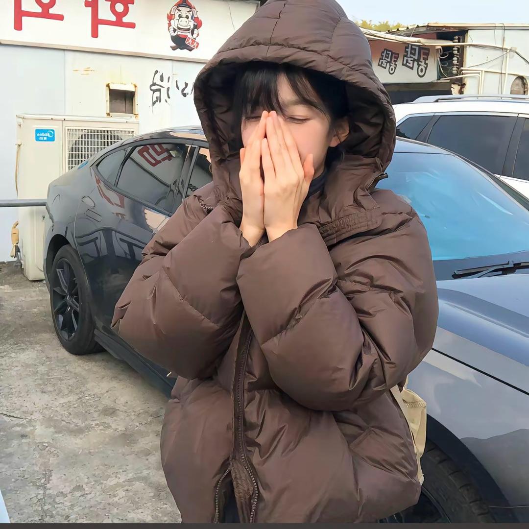 会飞的熊二