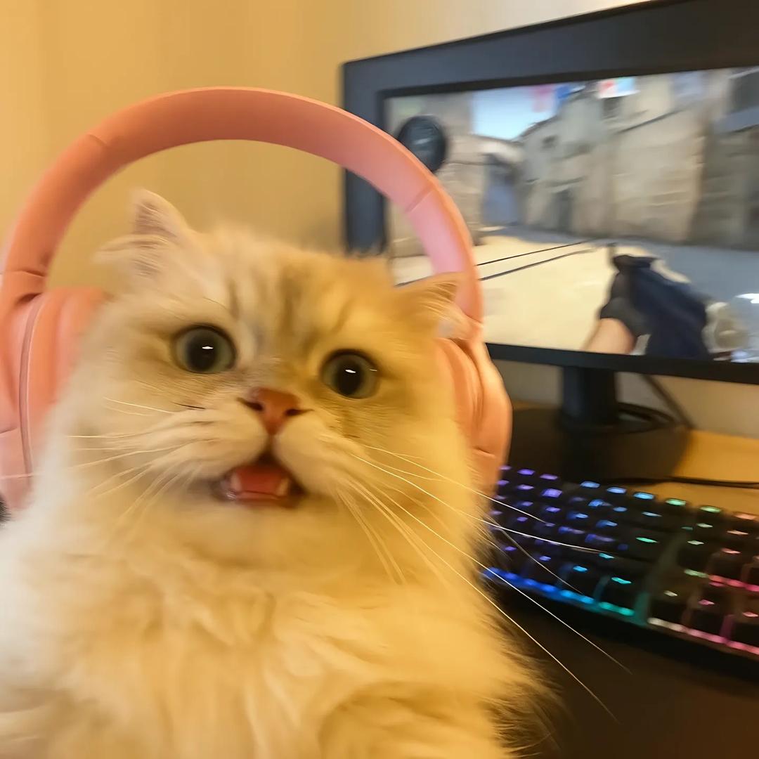 赶紧吧涛活埋了