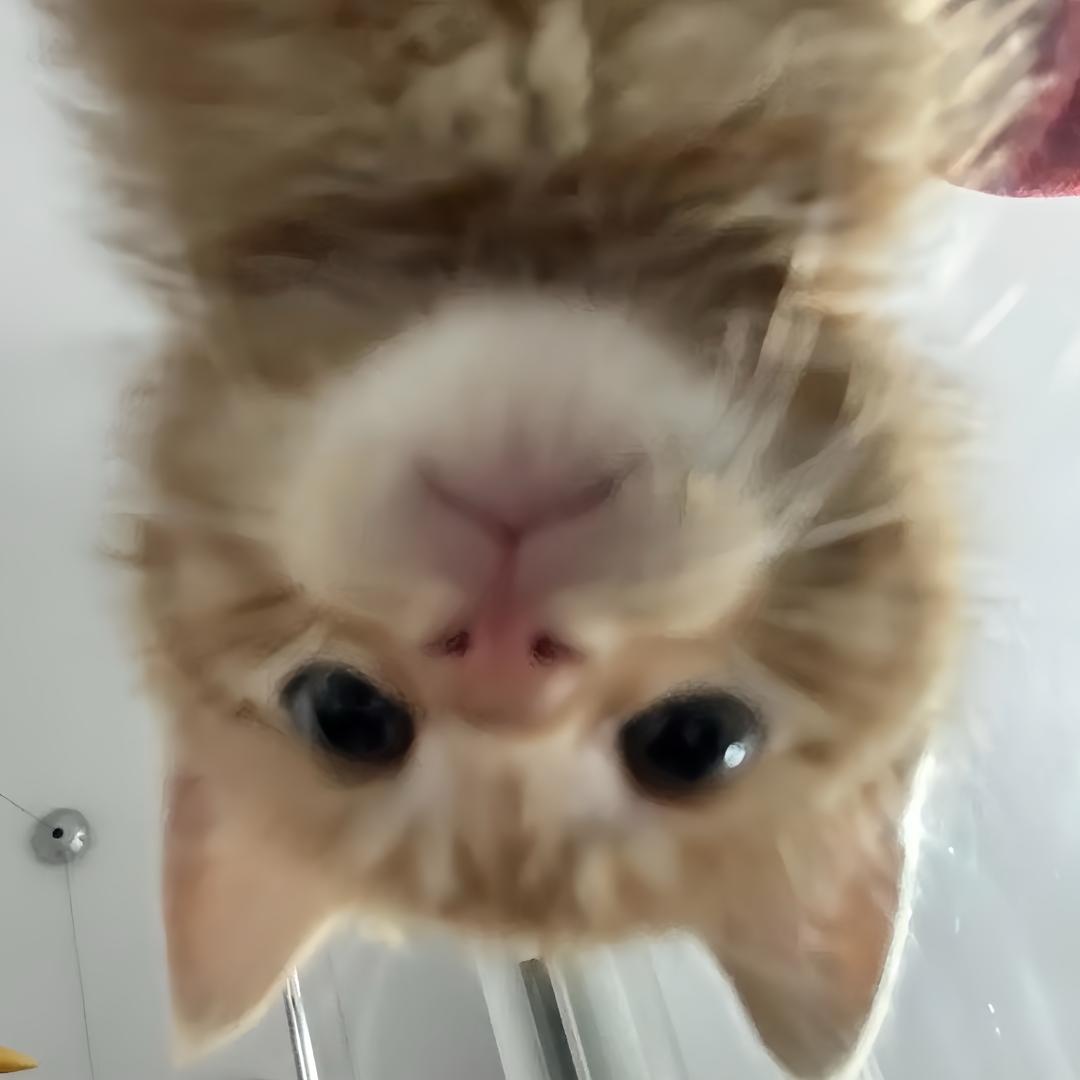 -_