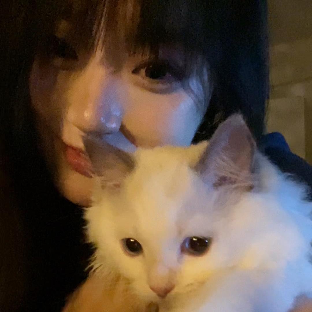 🐟潇潇🐻