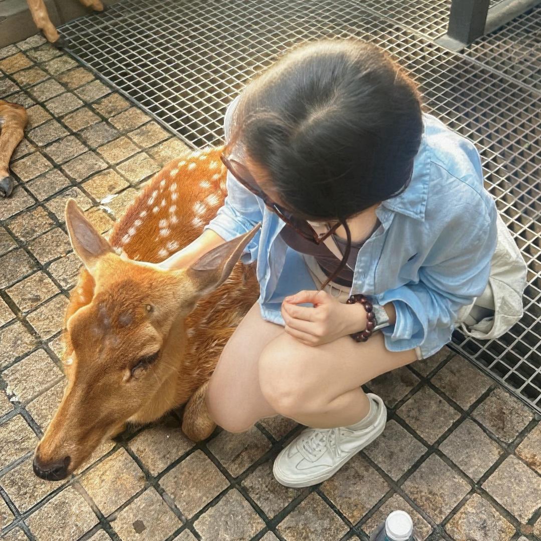 酸汤肥牛困死了