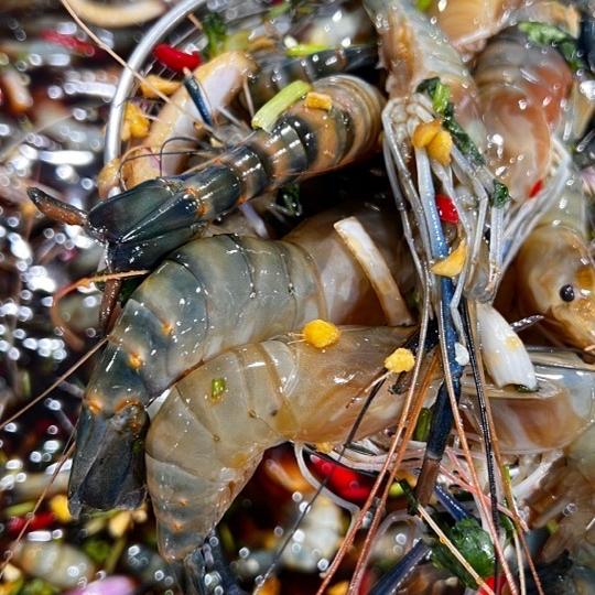 虾搞搞源头海鲜