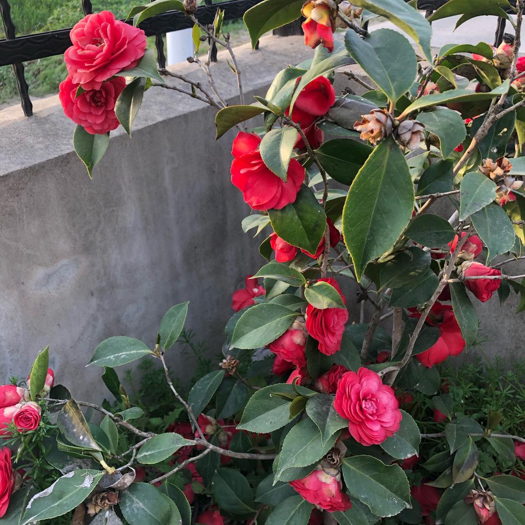 平安快乐每一天