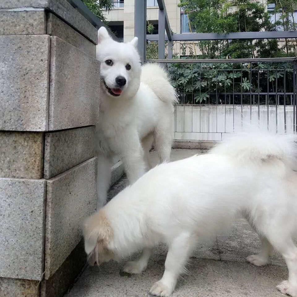 八月。