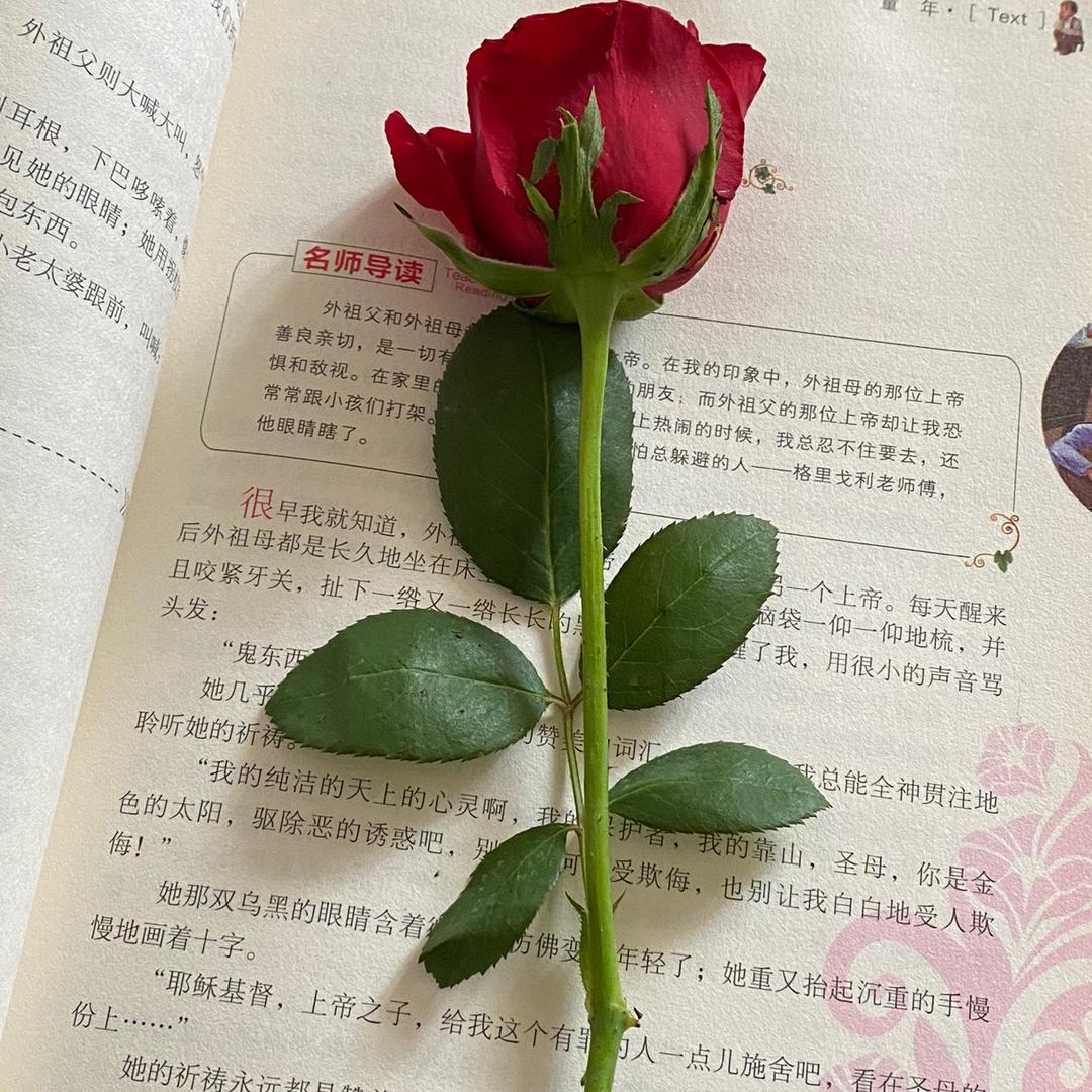 柠栀@