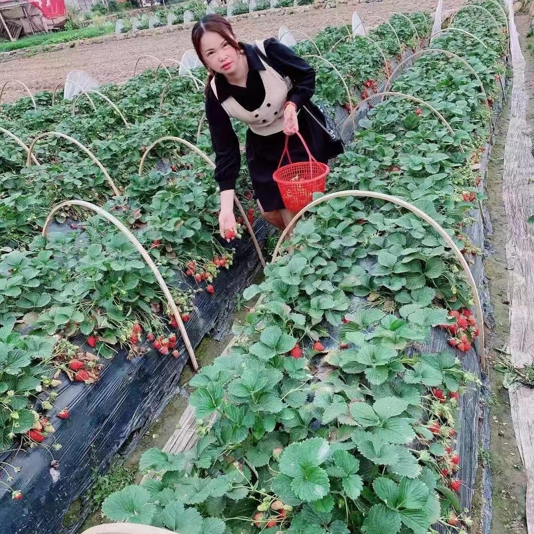 水当当优选