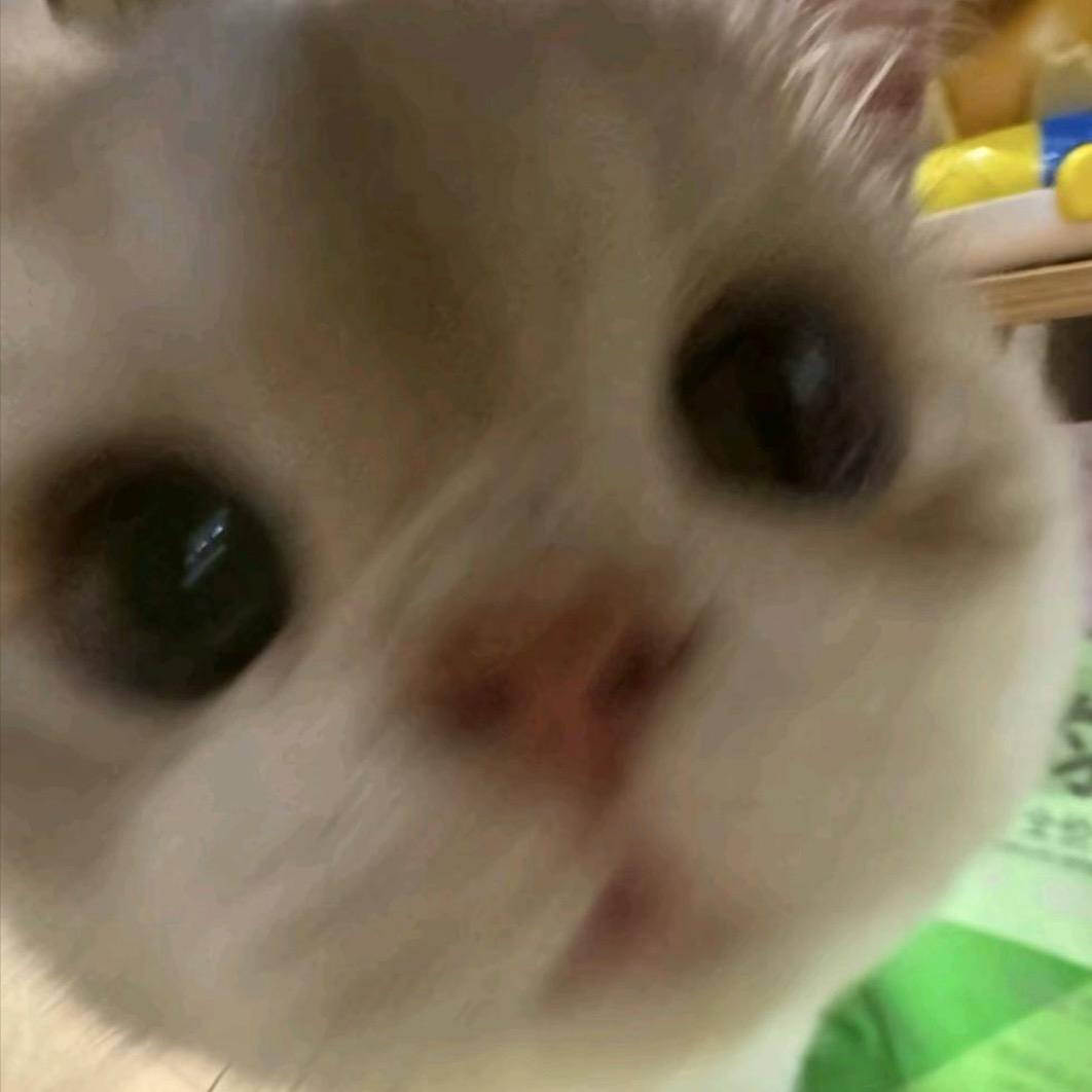 星冰乐
